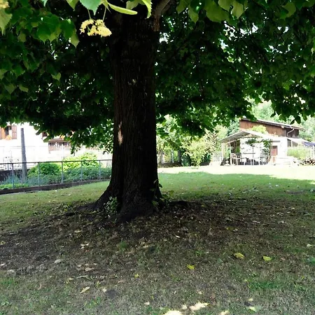 Apartment Carnia: Bright And Spacious Flat *